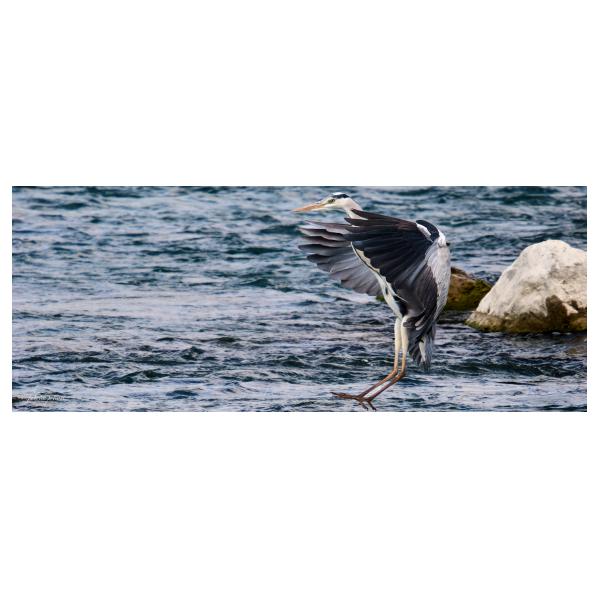 PHOTO84, CLUB, 84 , LUBERON